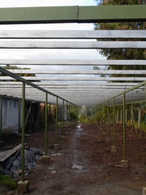 organicos